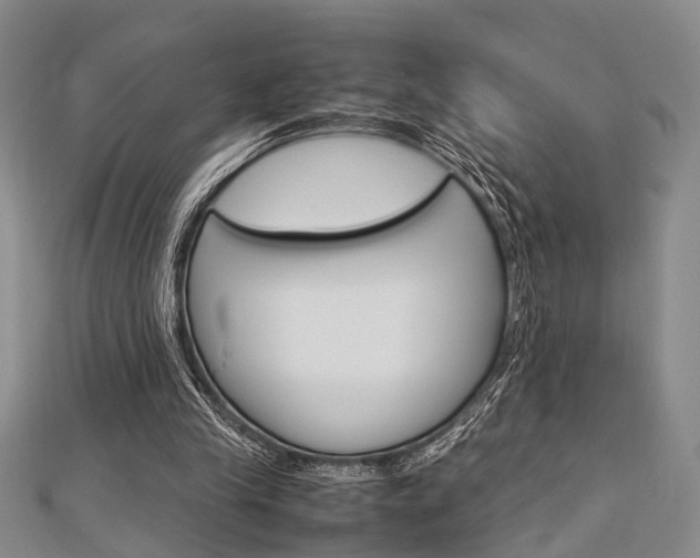 X0000113150245200909040938