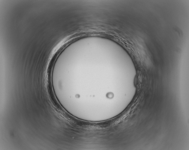 X0000113150246200909040938
