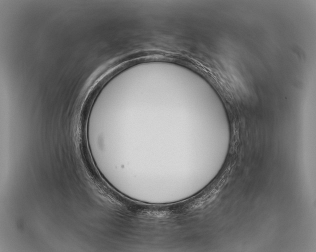 X0000113150247200909040938
