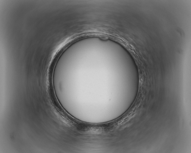 X0000113150248200909040938