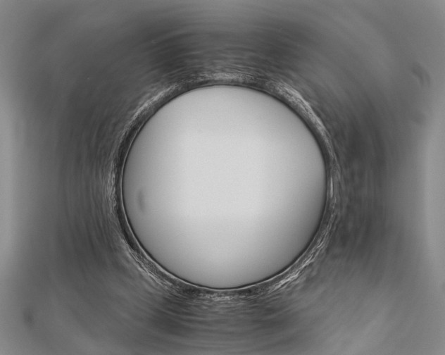 X0000113150249200909040938