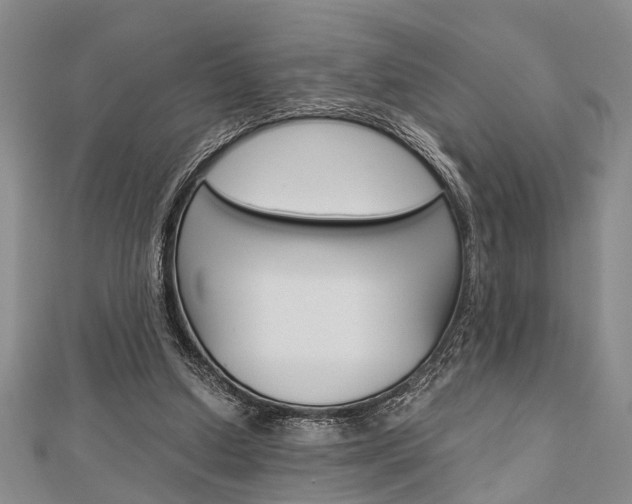 X0000113150250200909040938