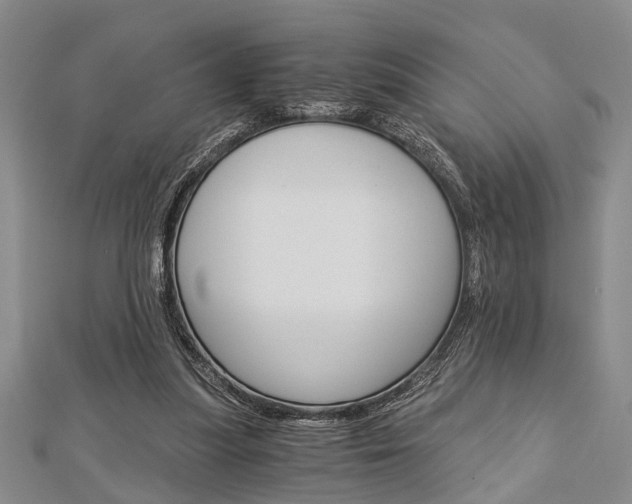 X0000113150251200909040938
