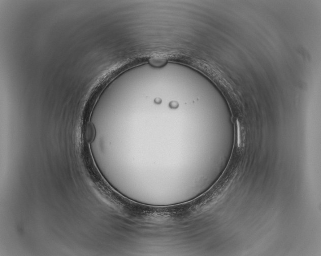 X0000113150252200909040938
