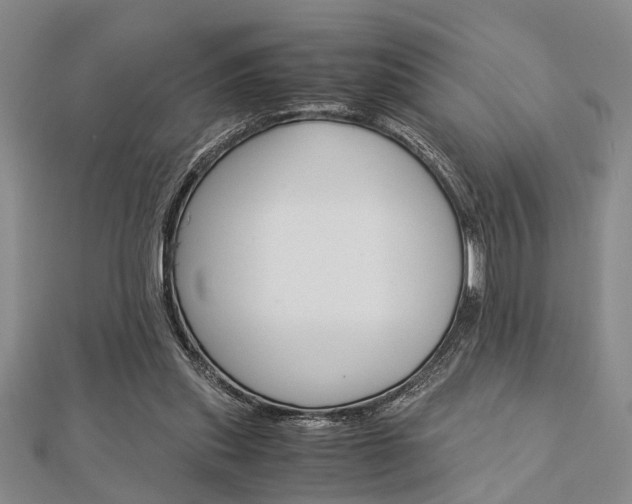 X0000113150253200909040938