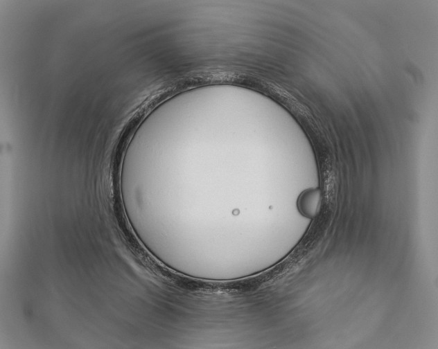 X0000113150254200909040938