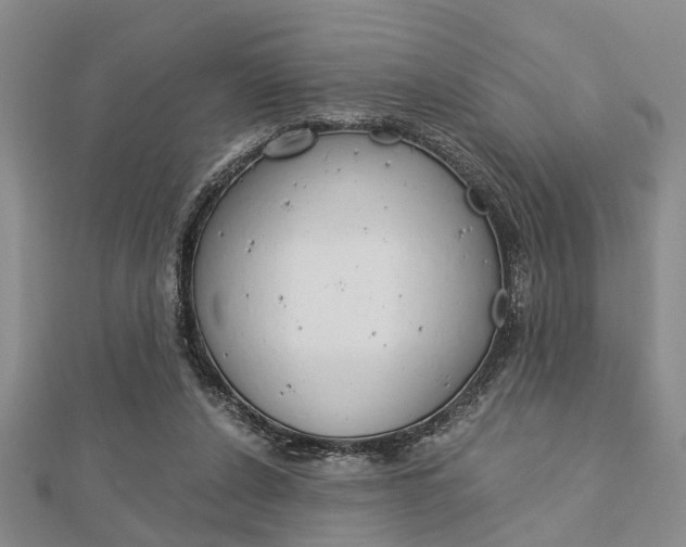 X0000113150256200909040938