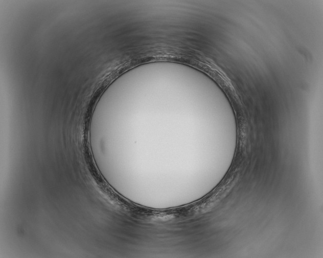 X0000113150257200909040938