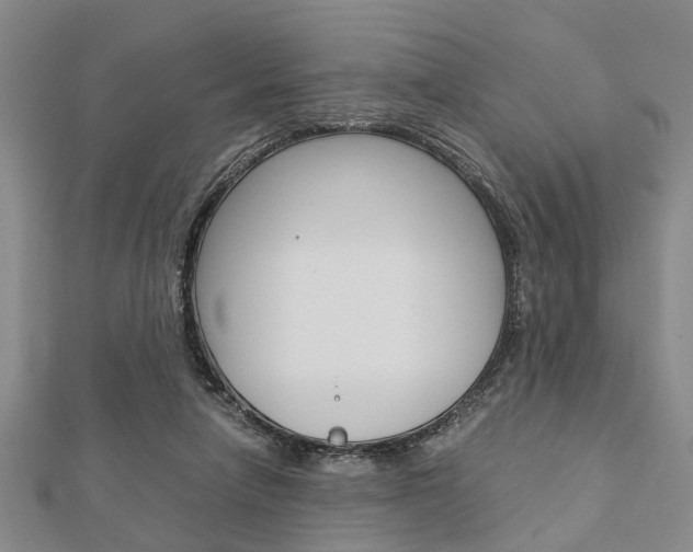 X0000113150258200909040938