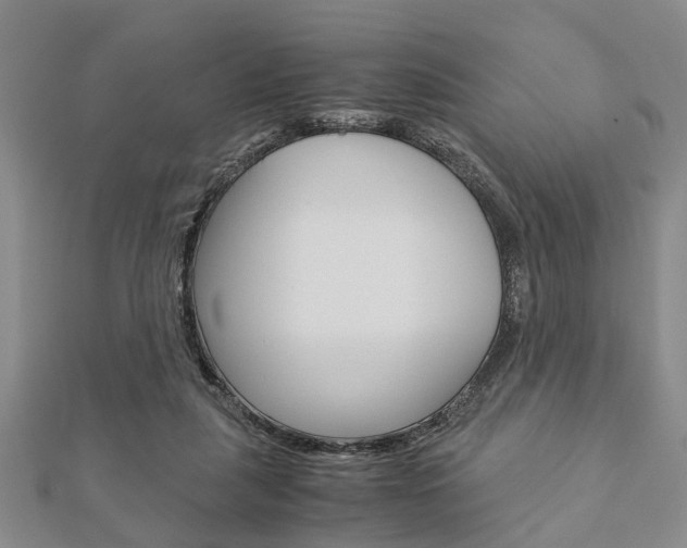 X0000113150259200909040938