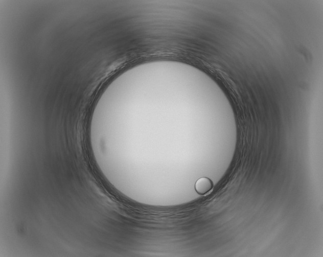 X0000113150260200909040938