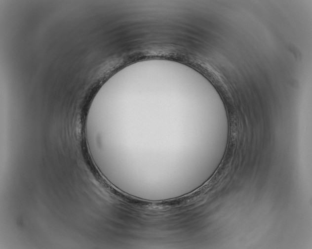 X0000113150261200909040938
