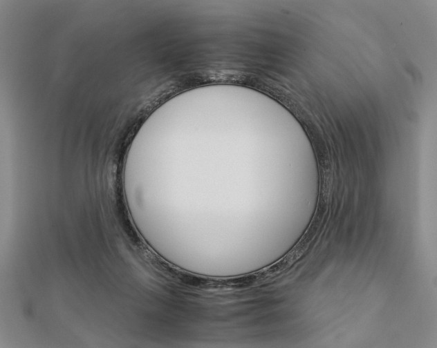 X0000113150263200909040938