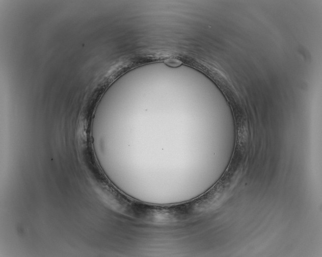 X0000113150264200909040938