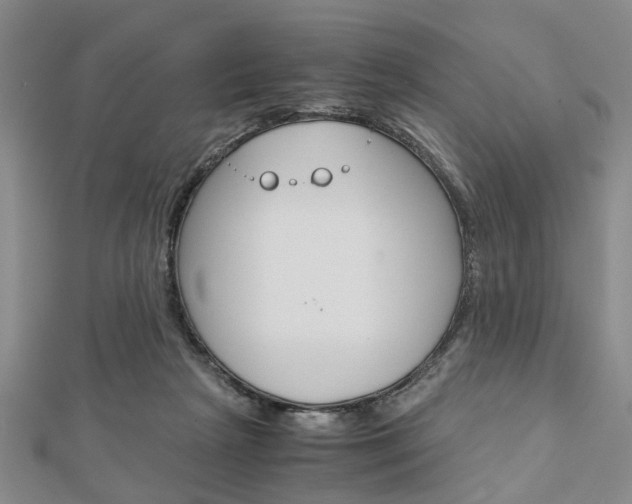X0000113150265200909040938