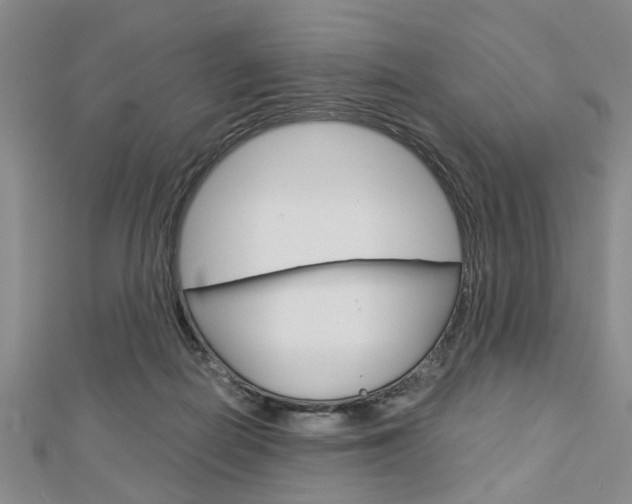 X0000113150266200909040938