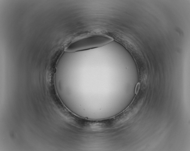 X0000113150268200909040938