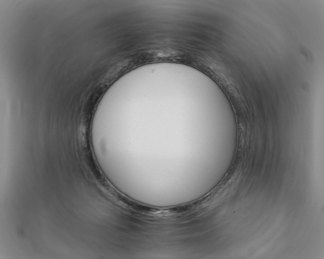 X0000113150269200909040938