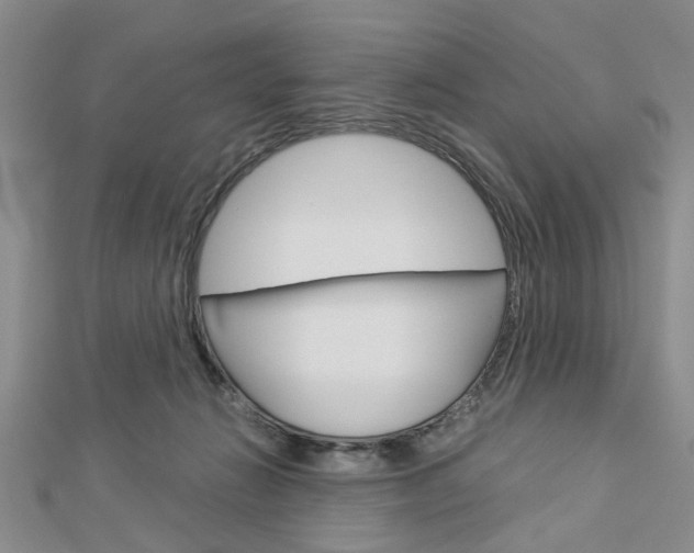 X0000113150270200909040938