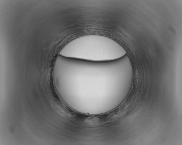 X0000113150271200909040938