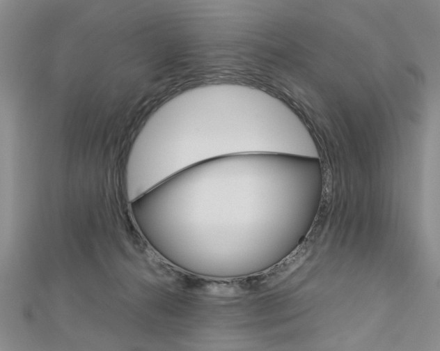 X0000113150272200909040938