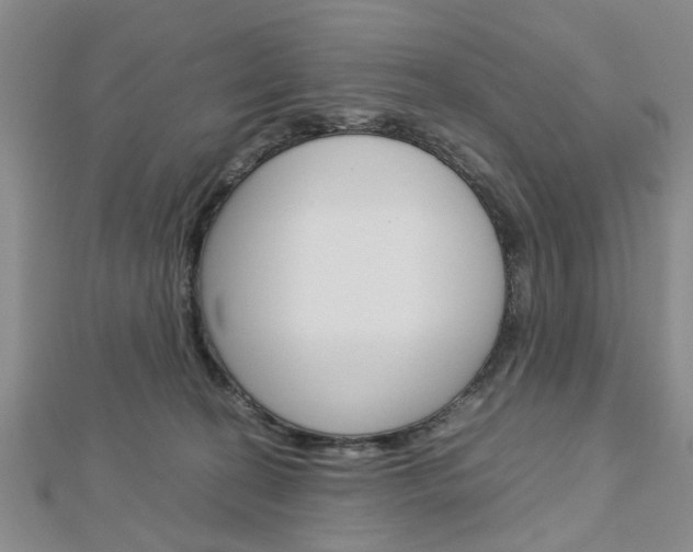 X0000113150274200909040938