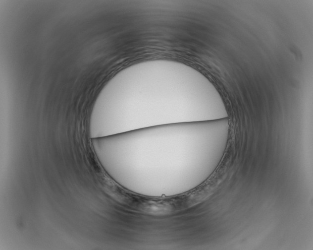 X0000113150275200909040938