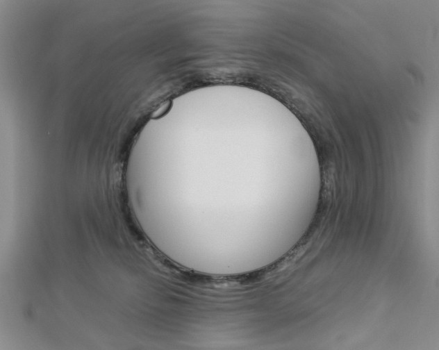 X0000113150278200909040938