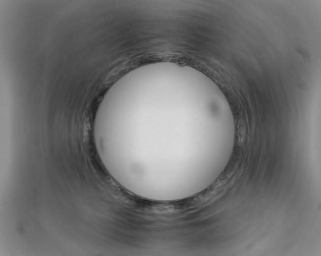 X0000113150279200909040938