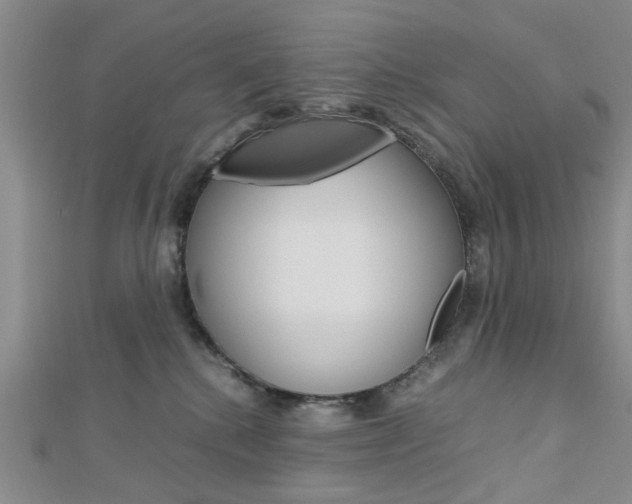 X0000113150280200909040938