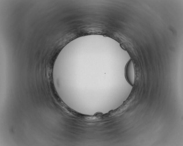 X0000113150281200909040938