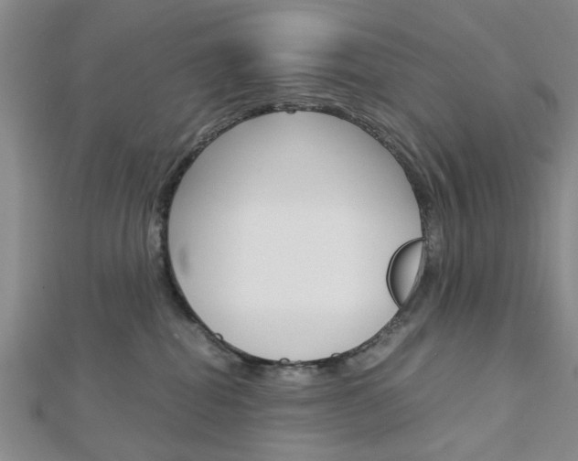 X0000113150282200909040938