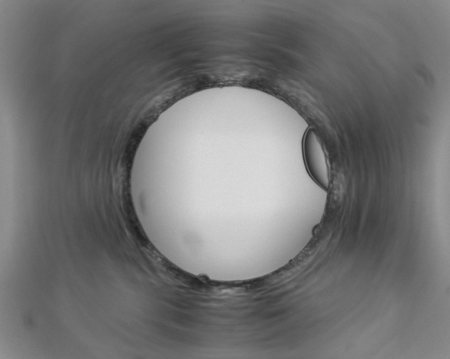 X0000113150283200909040938