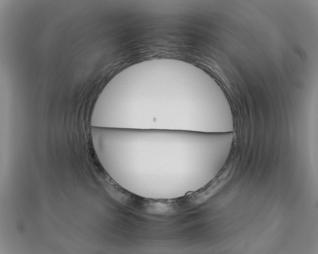 X0000113150285200909040938