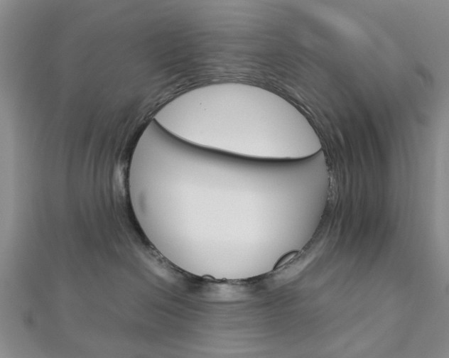 X0000113150286200909040938