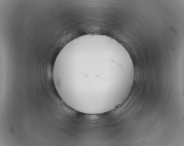X0000113150287200909040938