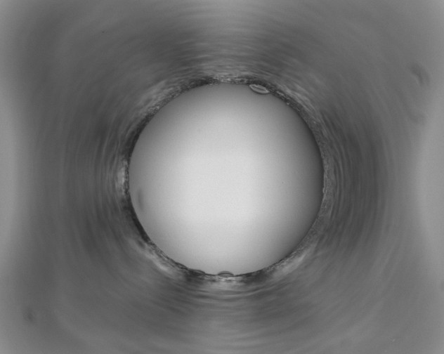 X0000113150288200909040938