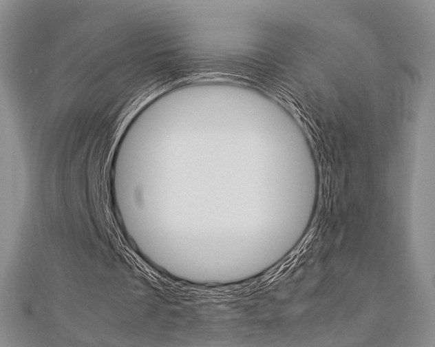 X0000113150289200909040938