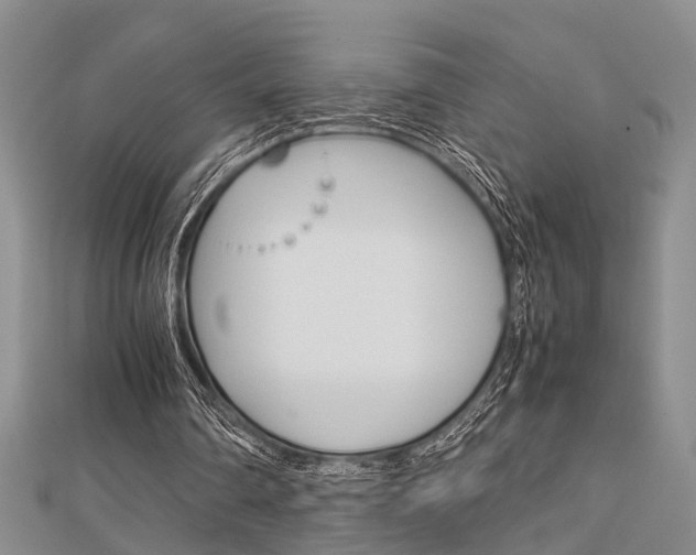 X0000113150290200909040938