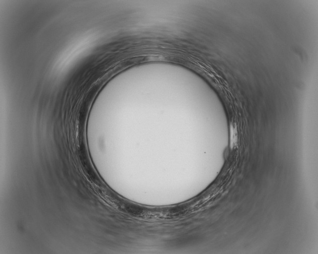 X0000113150291200909040938