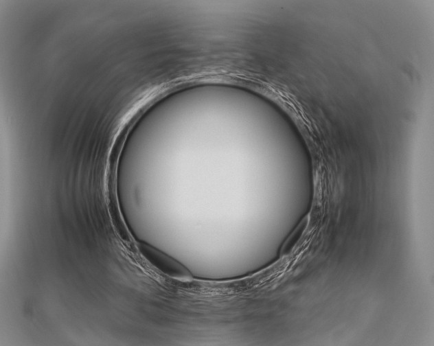 X0000113150292200909040938