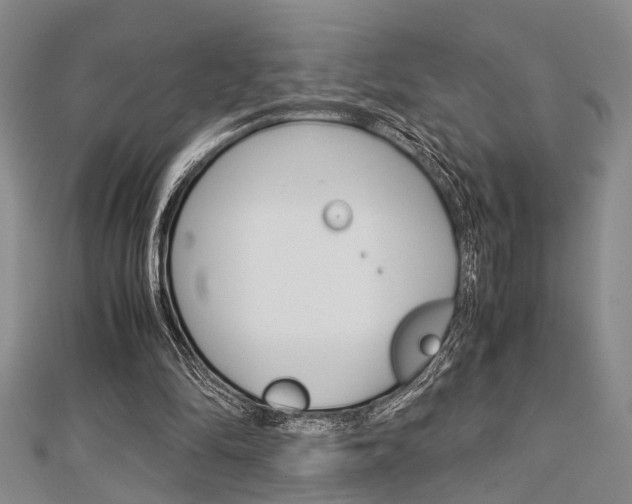 X0000113150294200909040938