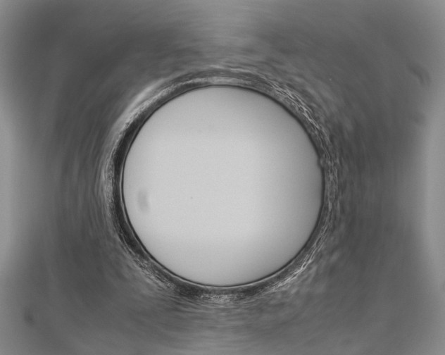 X0000113150295200909040938