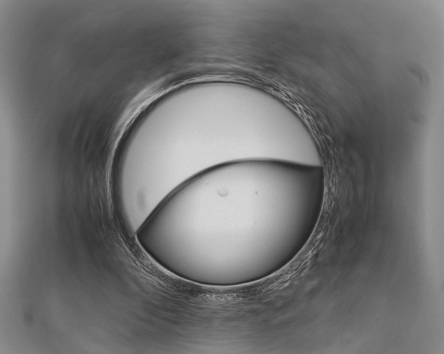 X0000113150296200909040938