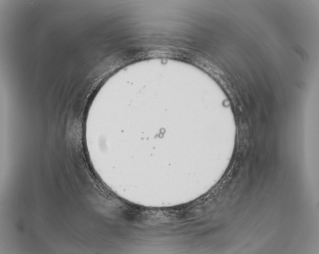 X0000113150297200909040937