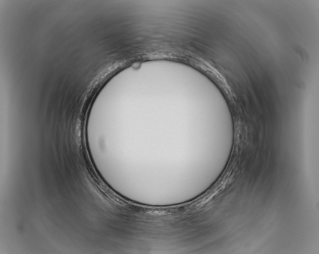 X0000113150298200909040937
