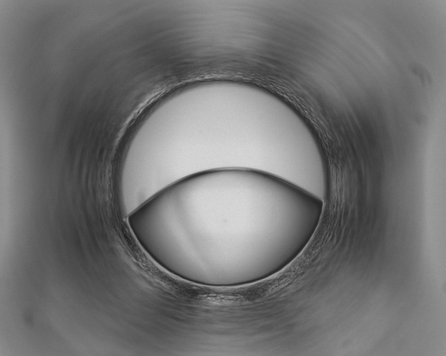 X0000113150300200909040937