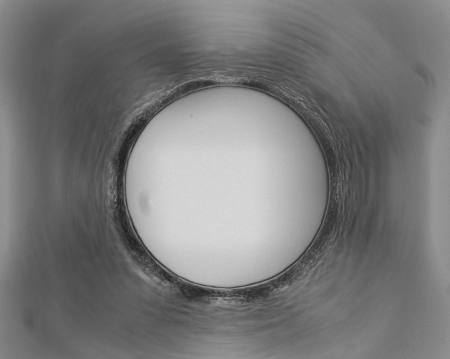 X0000113150303200909040937