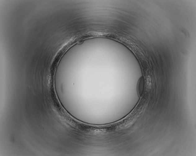 X0000113150304200909040937