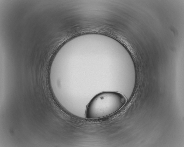 X0000113150305200909040937